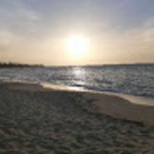 Meet your Posher, Enid